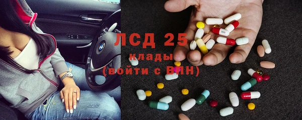 крисы Аркадак