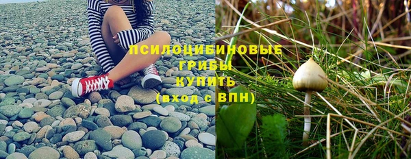 дурь Арсеньев