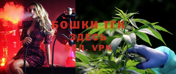 дурь Арсеньев
