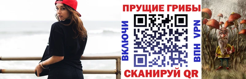 hydra зеркало  как найти закладки  Минусинск  Галлюциногенные грибы MAGIC MUSHROOMS 