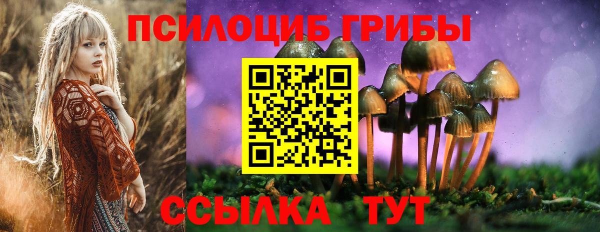 Галлюциногенные грибы мухоморы  Вход с VPN  Минусинск 